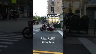 Alpo in Harlem &mdash; not to praise, but to acknowledge a chapter of Harlem history. #restinpeace #harlem