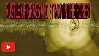 Rustle of grass and straw in the forest