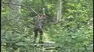 Web Dog Radio Tip Clips Teaser