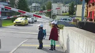 Cathy & Leon go to pick Blueberry 😍🍀❤🧸🏔