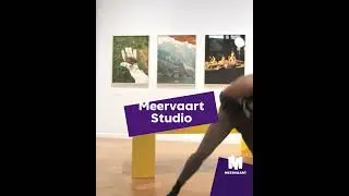 Meervaart Talentontwikkeling & Educatie