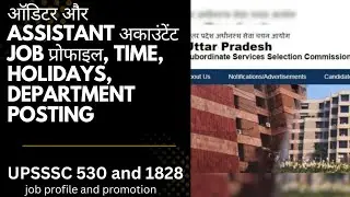 AUDITOR AND ASSISTANT ACCOUNTANT JOB PROFILE,DEPARTMENT PROMTION 530,1828, 15 April 2025#upsssc