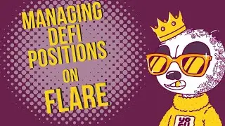 How to Manage DeFi positions like a Business