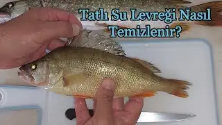 Levrek  (Tatlı Su Levreği) Nasıl Temizlenir?