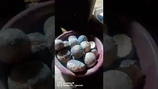 New year party in village 🎇🎇🎇🎇🎇