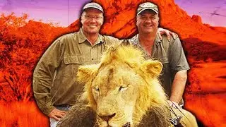 The Search for Cecil's Killer