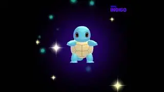Daily Dose Of Wonder Trade #12