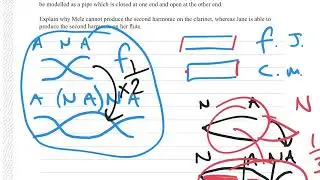 2022 NCEA Level 3 Physics Exam - Waves