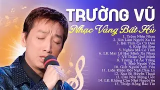 Giọng Ca Trữ Tình Để Đời Trường Vũ I Tuyển Chọn 15 Ca Khúc Nhạc Vàng Hay Nhất Mọi Thời Đại