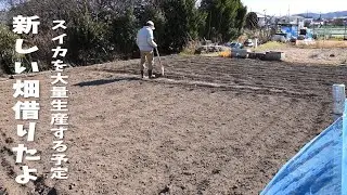 I got New Garden!