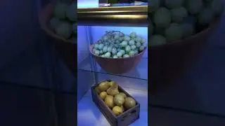 Groviv - Product Demonstration at NuSkin (EN)