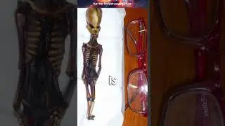 Alien Skeleton found in Atacama Desert