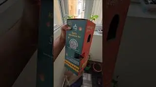 New Indoor Plant Decor for Home #ugagoplant #gardening #gardeningtips #gardenplants #ytshorts #viral