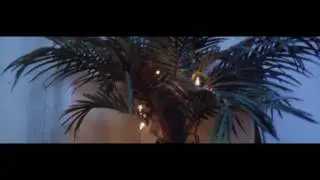 NATIVE OTHER - PALMS (OFFICIAL VIDEO)