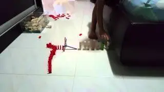 Caleb tan domino