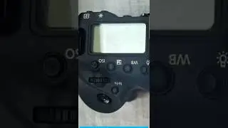 ч7 #шамансмотрит как выбрать б/у фотоаппарат? Canon 1dx mark II