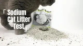 Wild Natural Feeling. Cat's best choice: Premium Sodium Cat litter
