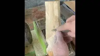 Woodcarve A Wood Spirit Out of Any Log