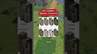 Minecraft Iron Golem Biome Variants 🤔 #minecraft