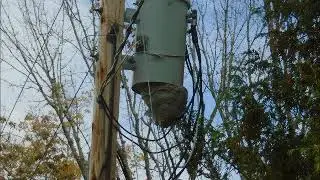 bee nest under transformer on power pole in St Stephen NB