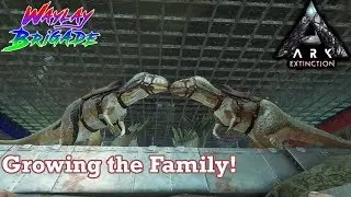 Growing the Family! | ARK: Survival Evolved | Extinction | Xbox One X | Let's Play | Live Stream