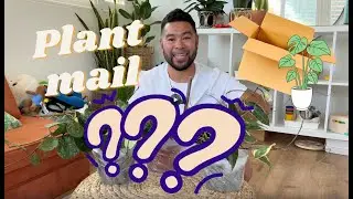Plant unboxing + 1 surprise plant