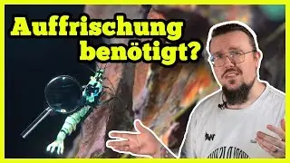 Du musst deinen Garnelen-Zuchstamm auffrischen, wenn...