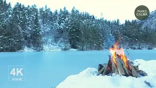 Winter Campfire by Frozen Lake | 3h Relaxation & Sleep &ndash; Pure Calma