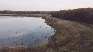 Knurów - widok z drona. Staw Leśny.