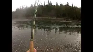 Bonaventure River Atlantic Salmon Aug 5th 2013