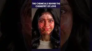 The Chemical That Sparkle The Chemistry Of  Love.