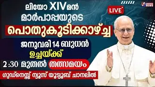 ലിയോ XIVമൻ മാർപാപ്പയുടെ പൊതുകൂടിക്കാഴ്ച്ച | POPE LEO XIV | VATICAN | GENERAL AUDIENCE |GOODNESS NEWS
