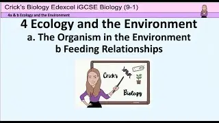 Ecology Terms and Feeding Relationships/Biology /iGCSE Ecology and the Environment/Crick's Biology