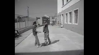 Maida Television