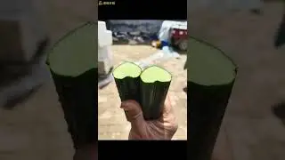 Grow star and heart shaped cucumber for family part