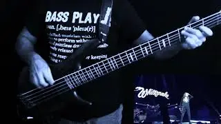 Spock Bass - Crying in the rain - Whitesnake - Bass Jam