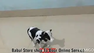 Battery Operated Cow Toy Toys for kids with light and sound