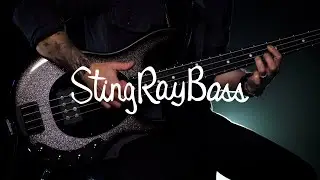 Ernie Ball Music Man Minute: StingRay Special Smoked Chrome (ft. Derek Frank)