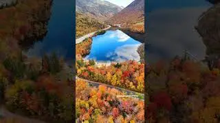 Amazing Fall Colors🥰🍁🍂 #artistsbluff #fallcolors #fallfoliage