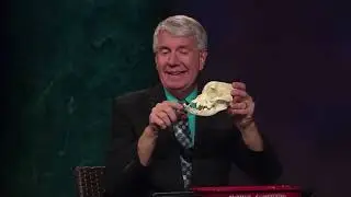 Blind to the Obvious. Bruce Malone. Origins. Creation Evidence.