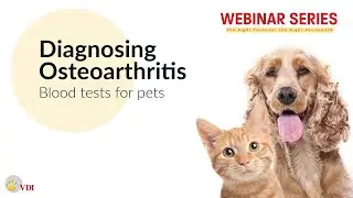 Osteoarthritis Blood Test for Dogs and Cats - VDI Laboratory