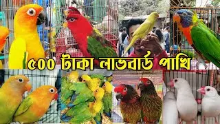 অবিশ্বাস্য দামে ৫০০ টা*কা লাভবার্ড পাখি || মিরপুর ১ পাখির হাট || Mirpur 1 pakhir hat || Bird market
