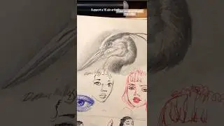 How to draw a heron in UNDER 2 HOURS! (The Boy & The Heron) #art #drawing #tutorial #graphite #fyp