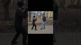 Hammerschlag 🔨  Wing Chun #tsubazai #wingchun #kungfu