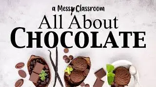 Do You Know This About Chocolate? | Cacao Facts to Will Blow Your Mind | Delicious Educational Video
