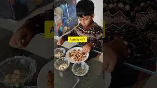 Separate the dry fruits activity #homeschooling #focus #separation #activity #earlylearning #shorts