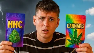 Cannabis vs. HHC Selbstexperiment! Wie heftig ist der Unterschied? 🌿