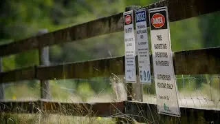 Put your safety first when visiting a NSW State forest
