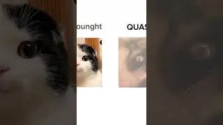 QUASON