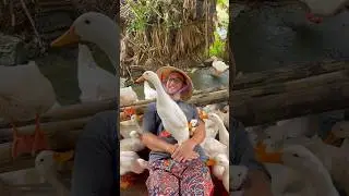&pound;3 very well spent 🦆 #vietnam #travel #backpacking #ducks